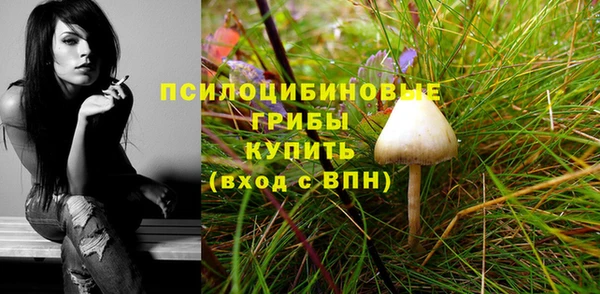 MESCALINE Баксан