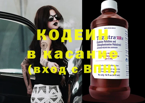 хмурый Арсеньев