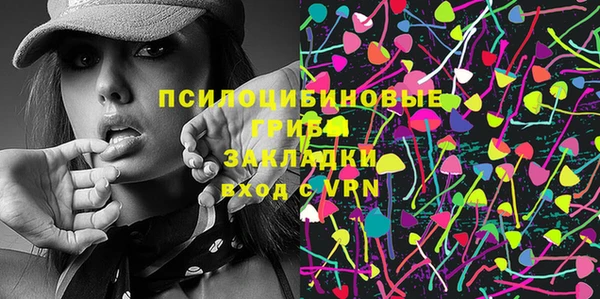 хмурый Арсеньев